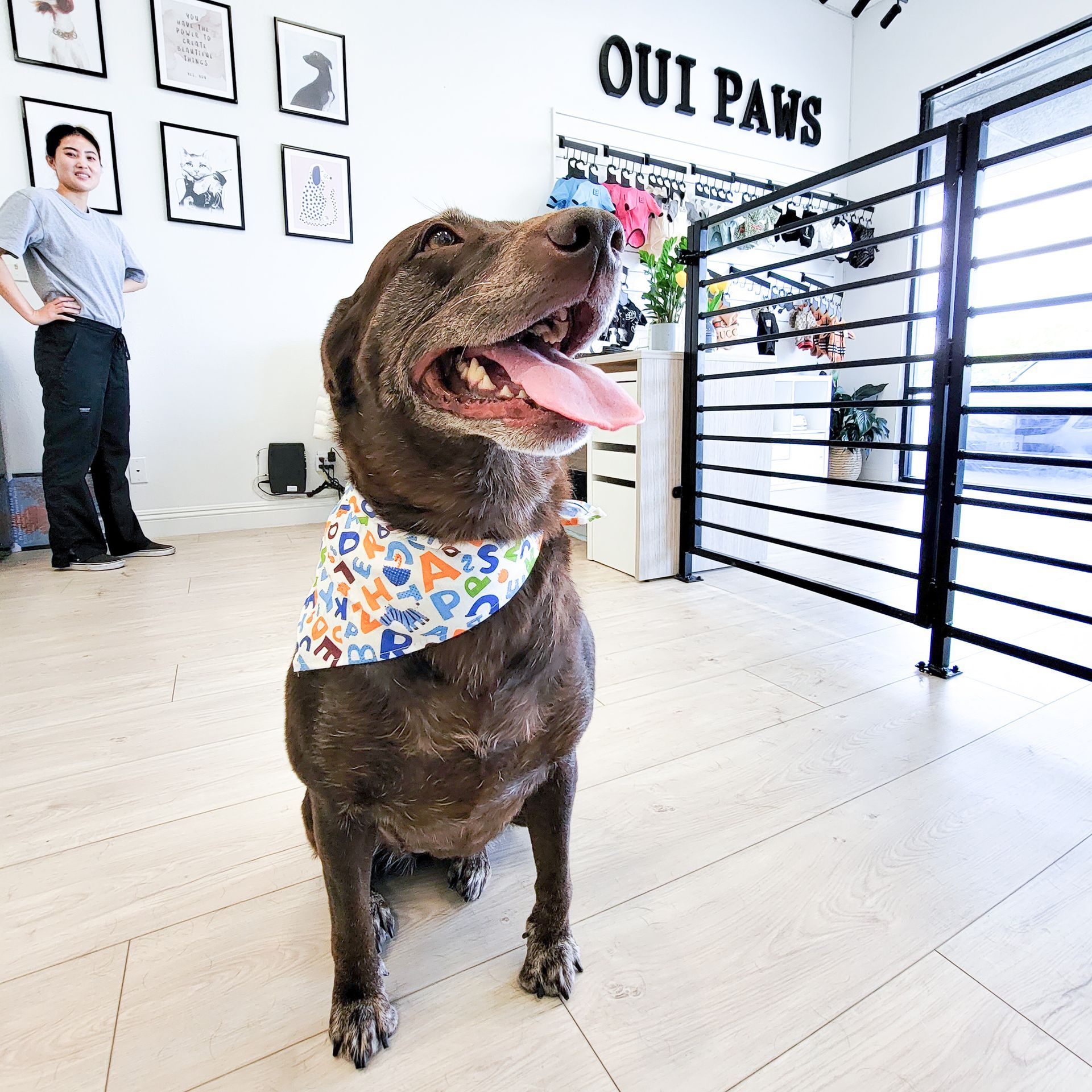 Smiling brown dog wearing a bandana sits in a dog-friendly shop; woman in background.