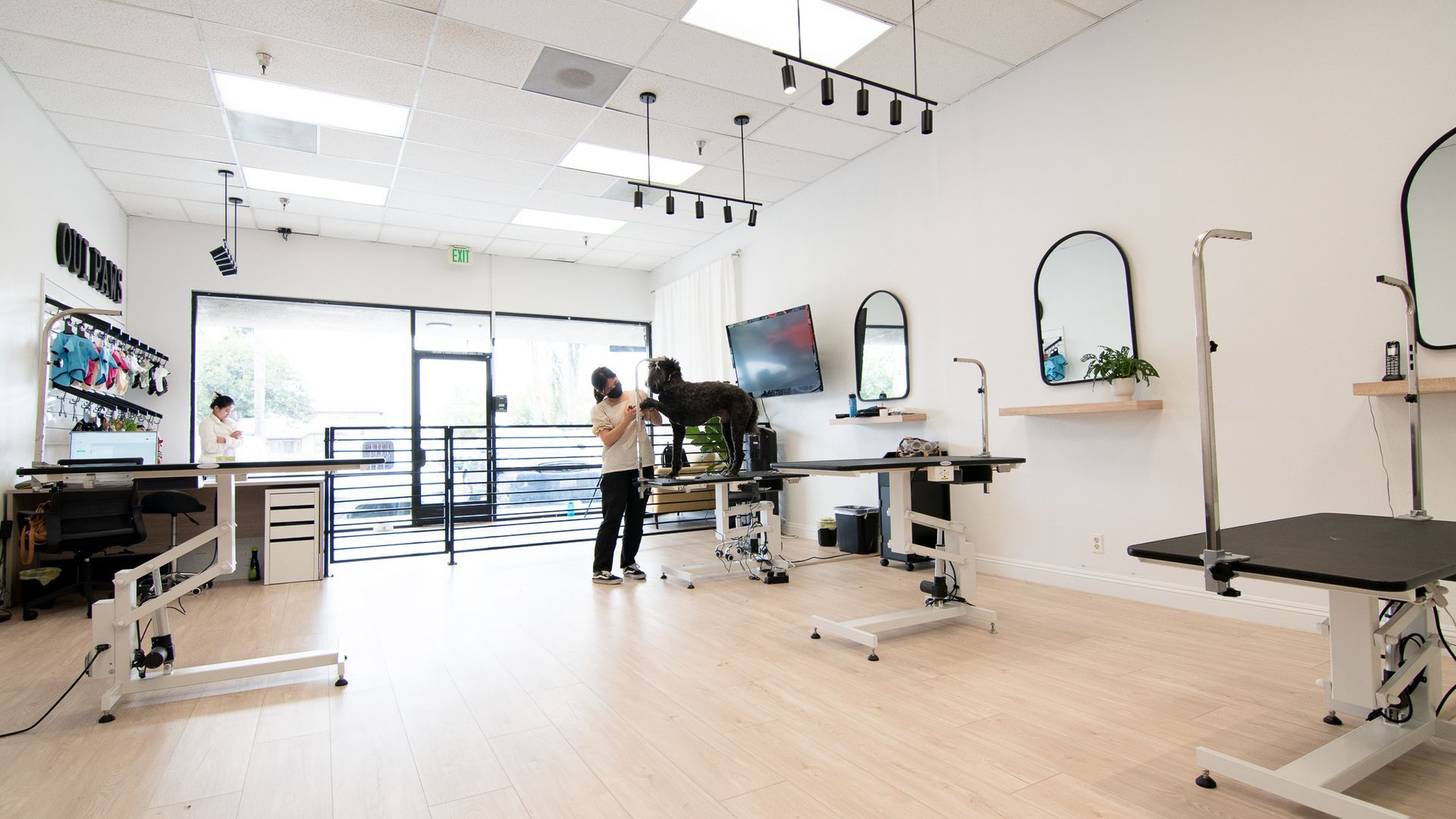 Interior of a dog grooming salon with two people grooming a black dog. White walls, grooming tables.