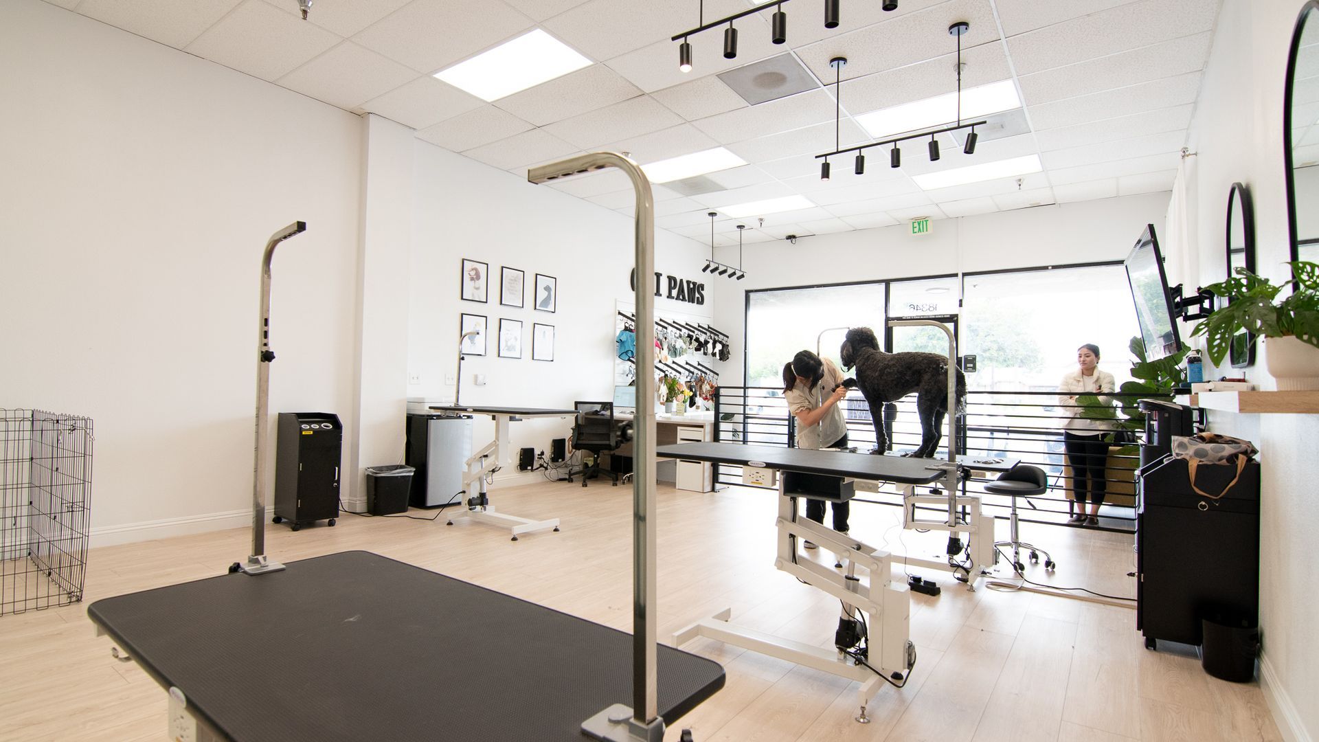 Interior of a dog grooming salon with groomer working on a black dog on a grooming table.