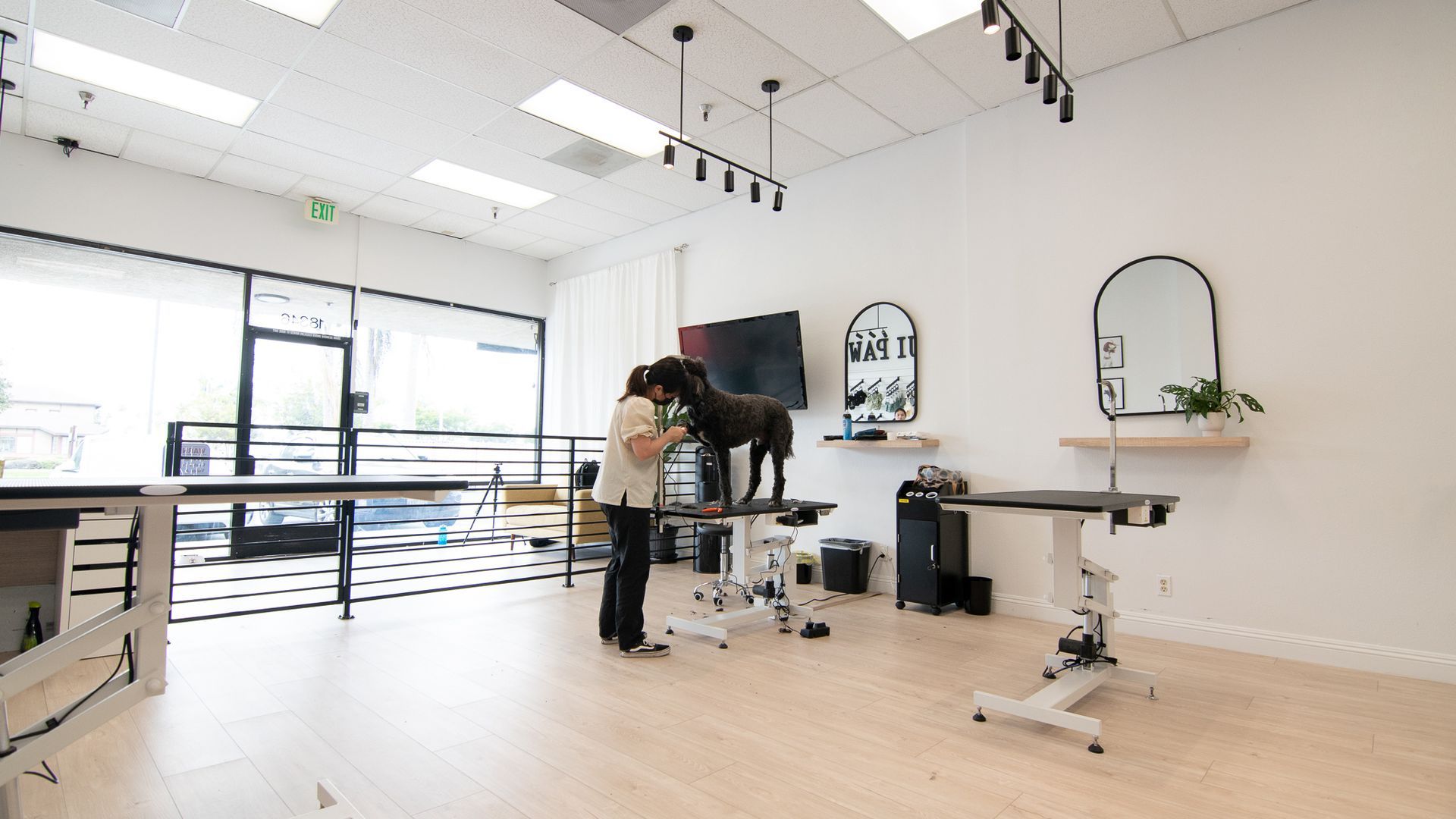 Dog groomer working on a black dog in a bright, white salon.