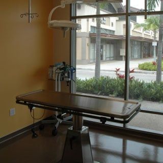 Pet Examination Room — Kapolei, HI — Kapolei Pet Hospital