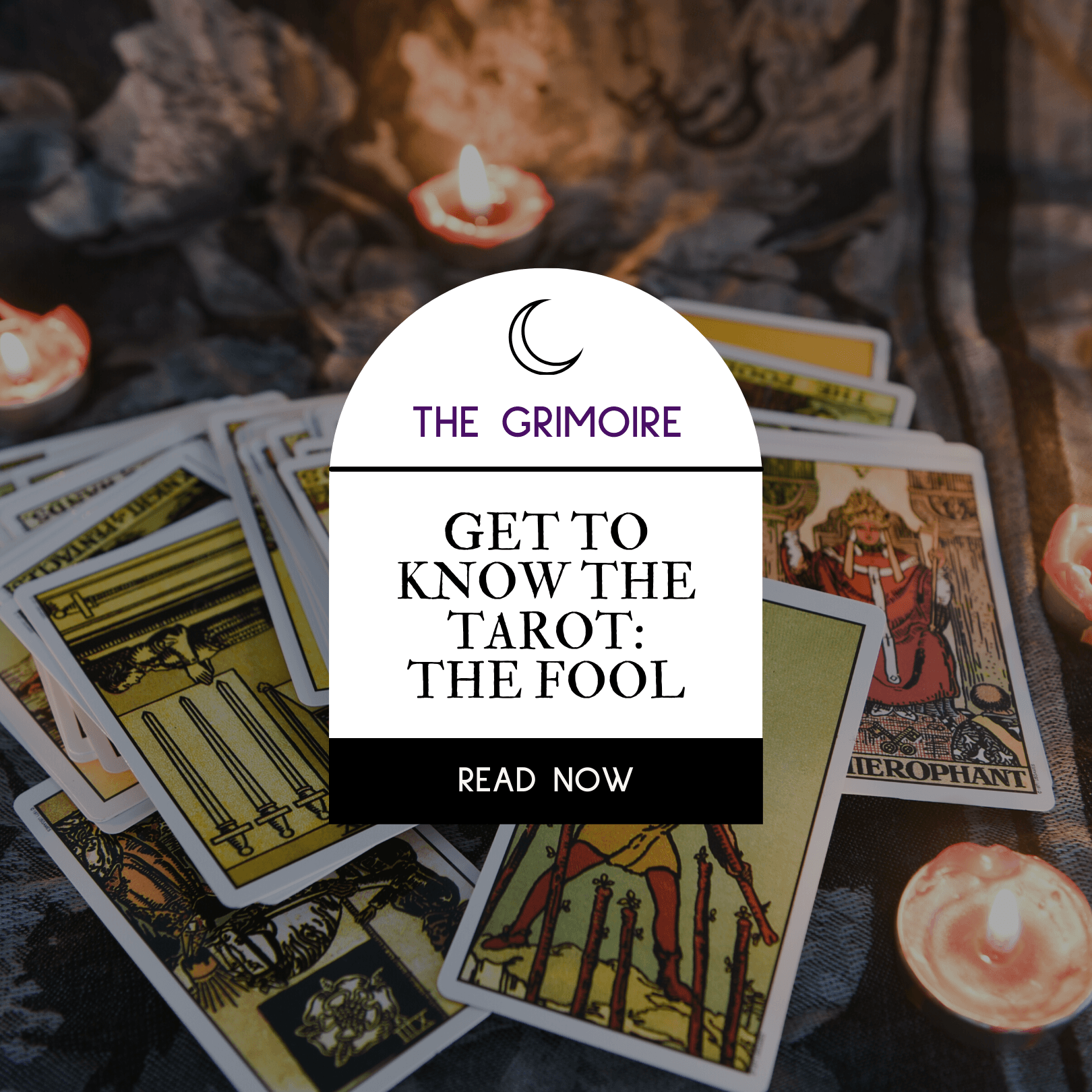 tarot card meaning the fool