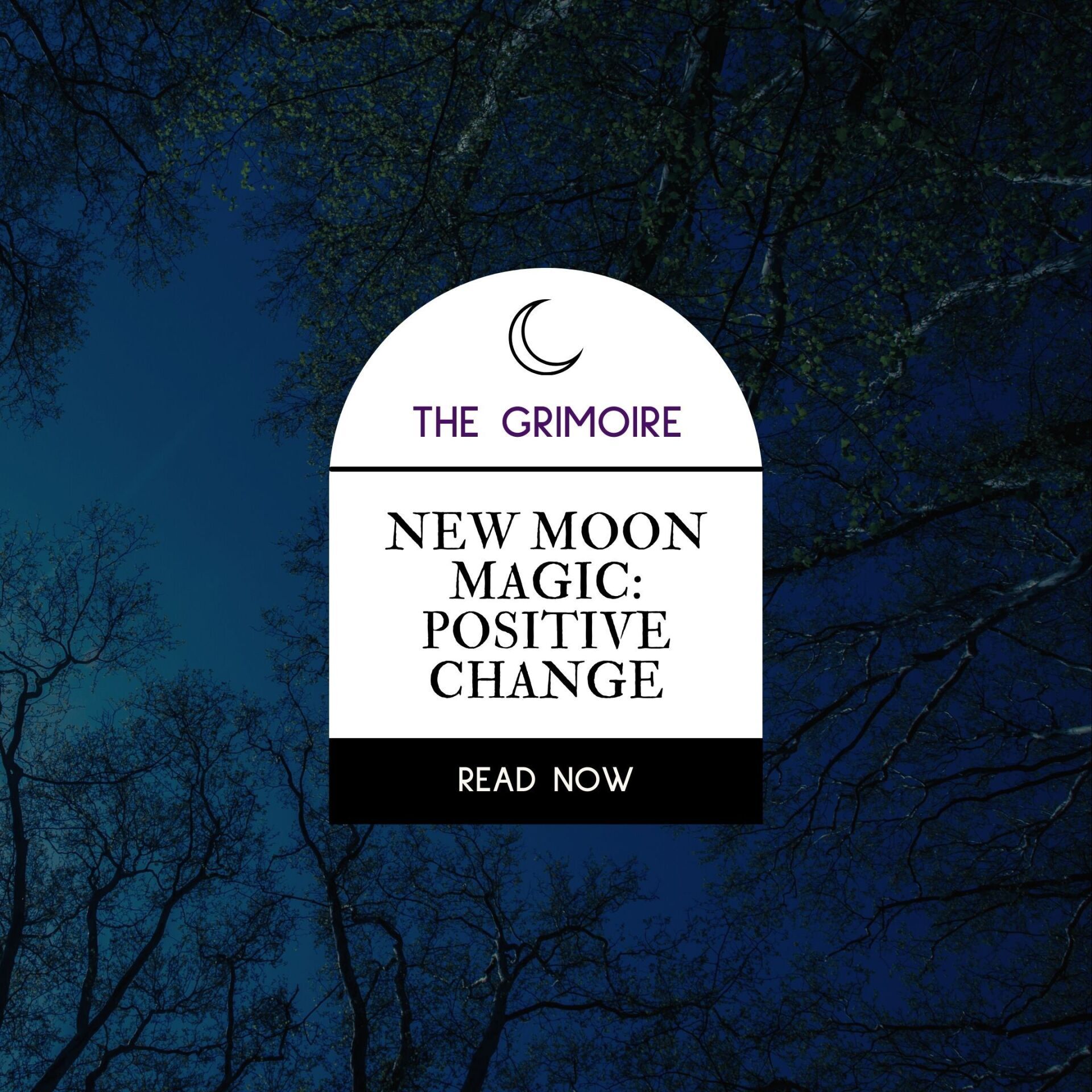 New Moon Magic: Manifesting Positive Change