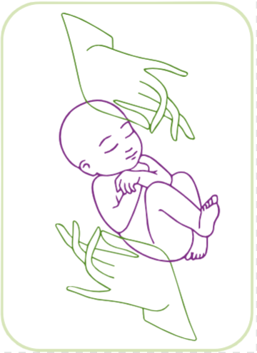 Un dessin au trait d'un bébé tenu à deux mains.