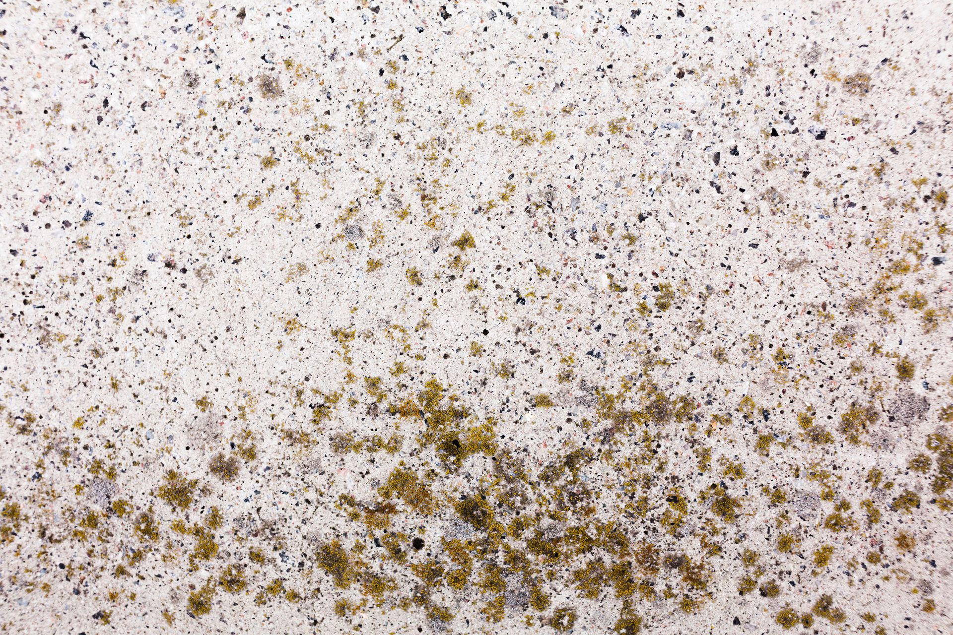 Close-up view of a textured surface featuring a gradient of light beige and brown speckled patterns.