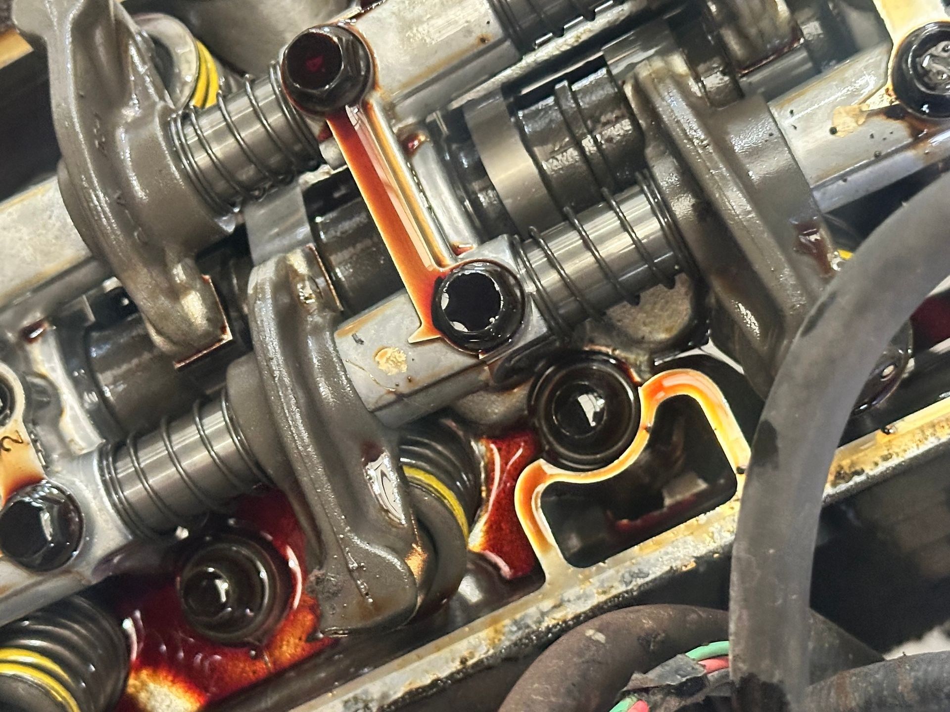 Close-up of engine valve train components with pooled oil; rocker arms, valves, and springs are visible.