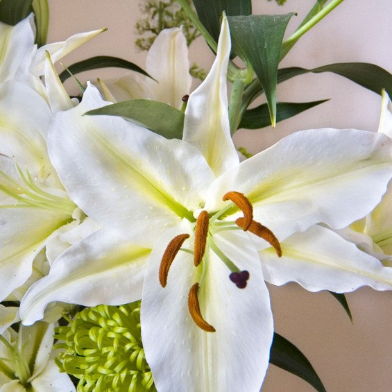 Funeral flower arrangements