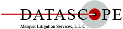Datascope Logo