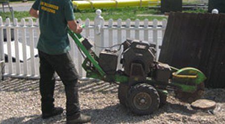 stump grinding experts