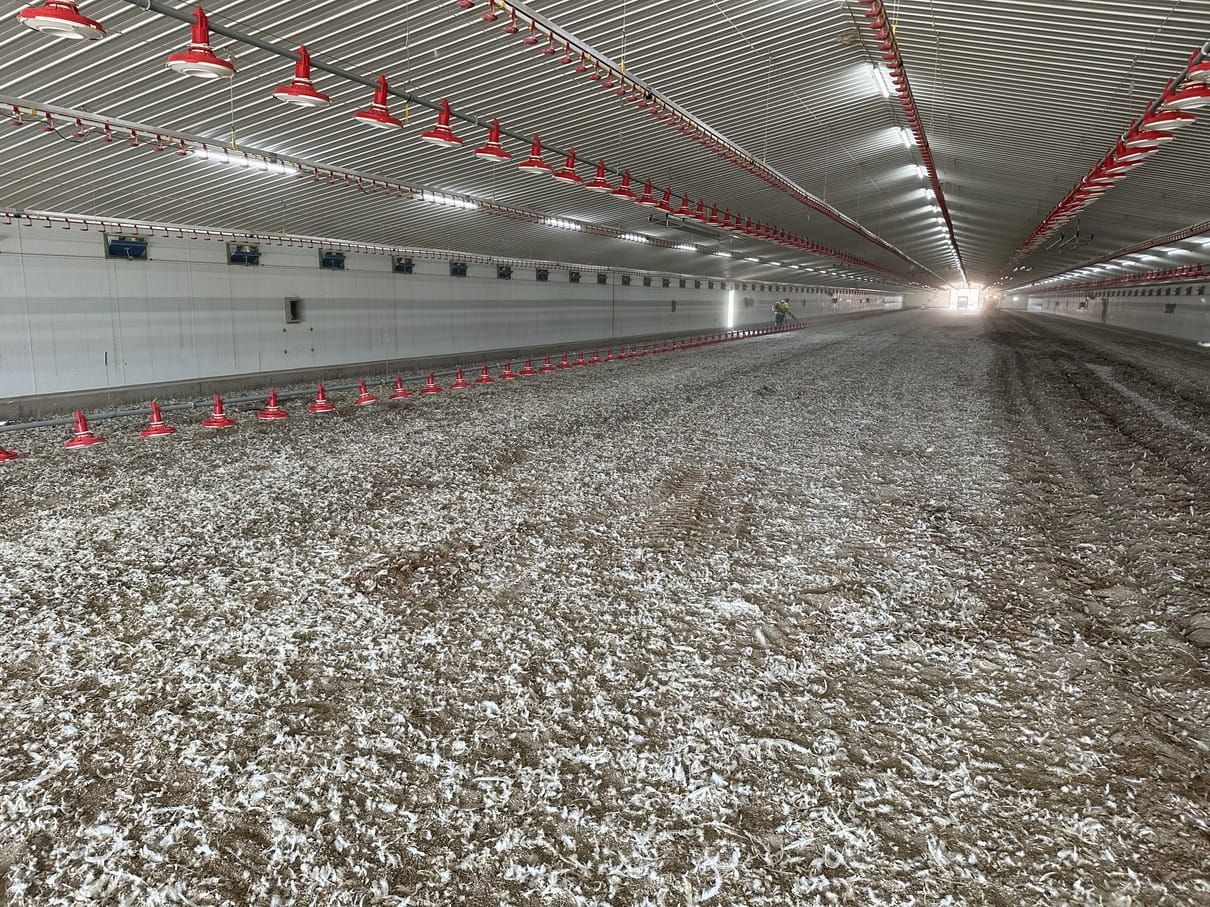 Photo Of An Inside The Stadium — BC Bulk Haulage In Tamworth, NSW