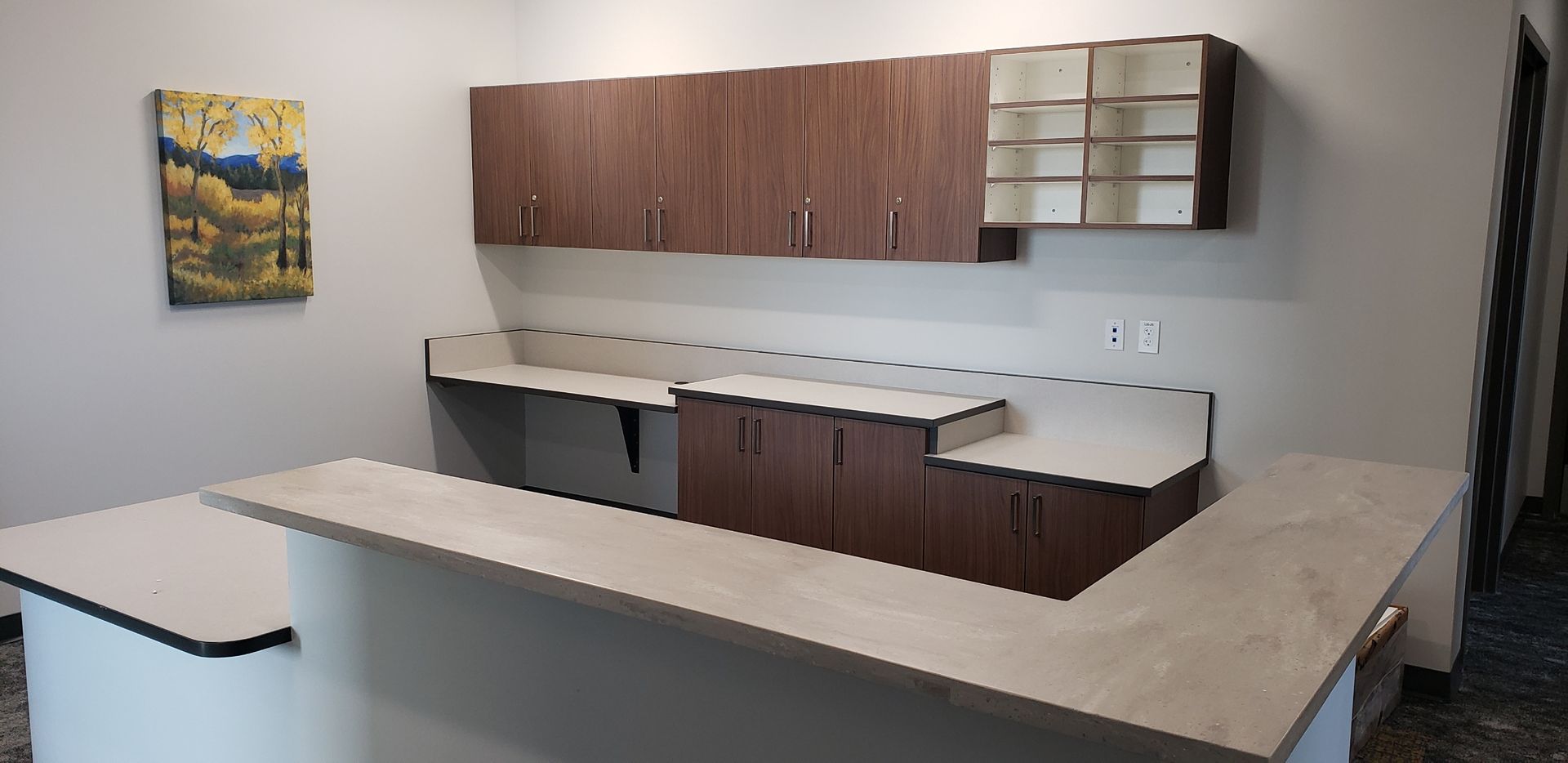 A kitchen with wooden cabinets and a painting on the wall