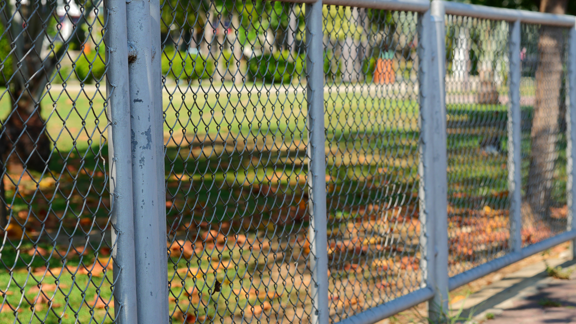 A chain link fence in a park with trees in the background.