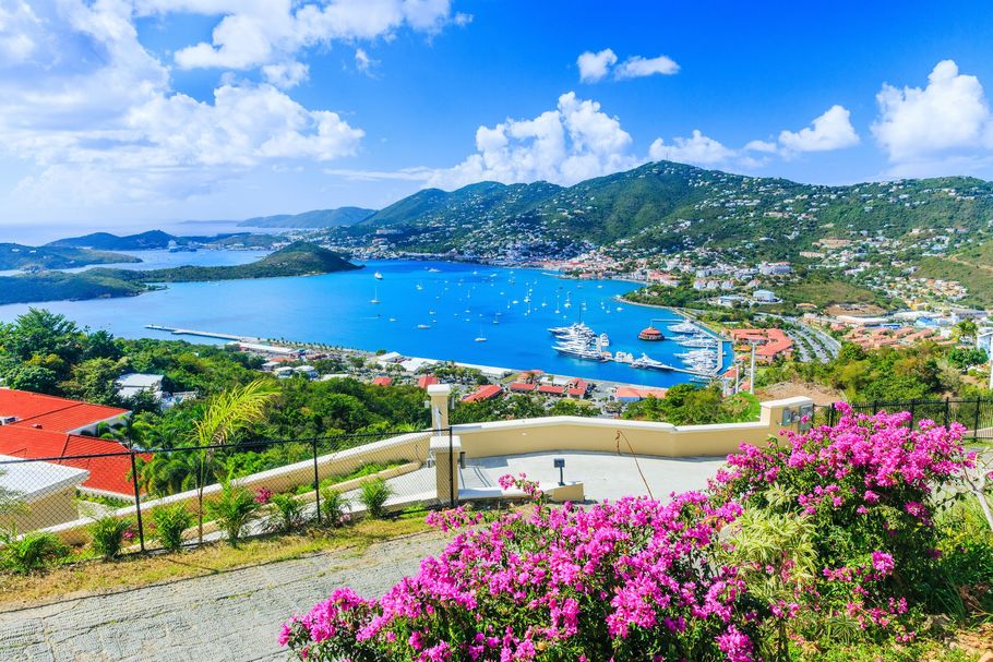 Scenic view of a blue bay with boats, surrounded by green hills, buildings, and pink flowers.