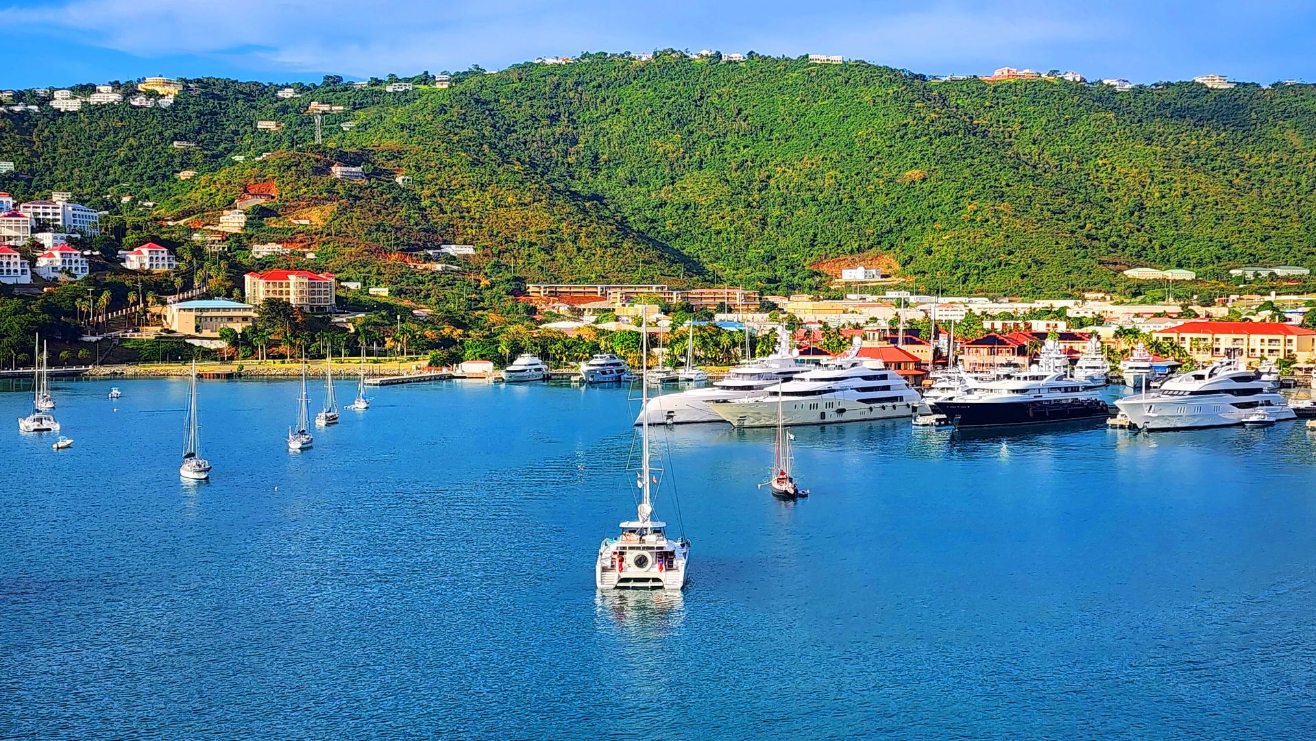 Boats in harbor, town with buildings, lush green hill backdrop, blue water and sky.