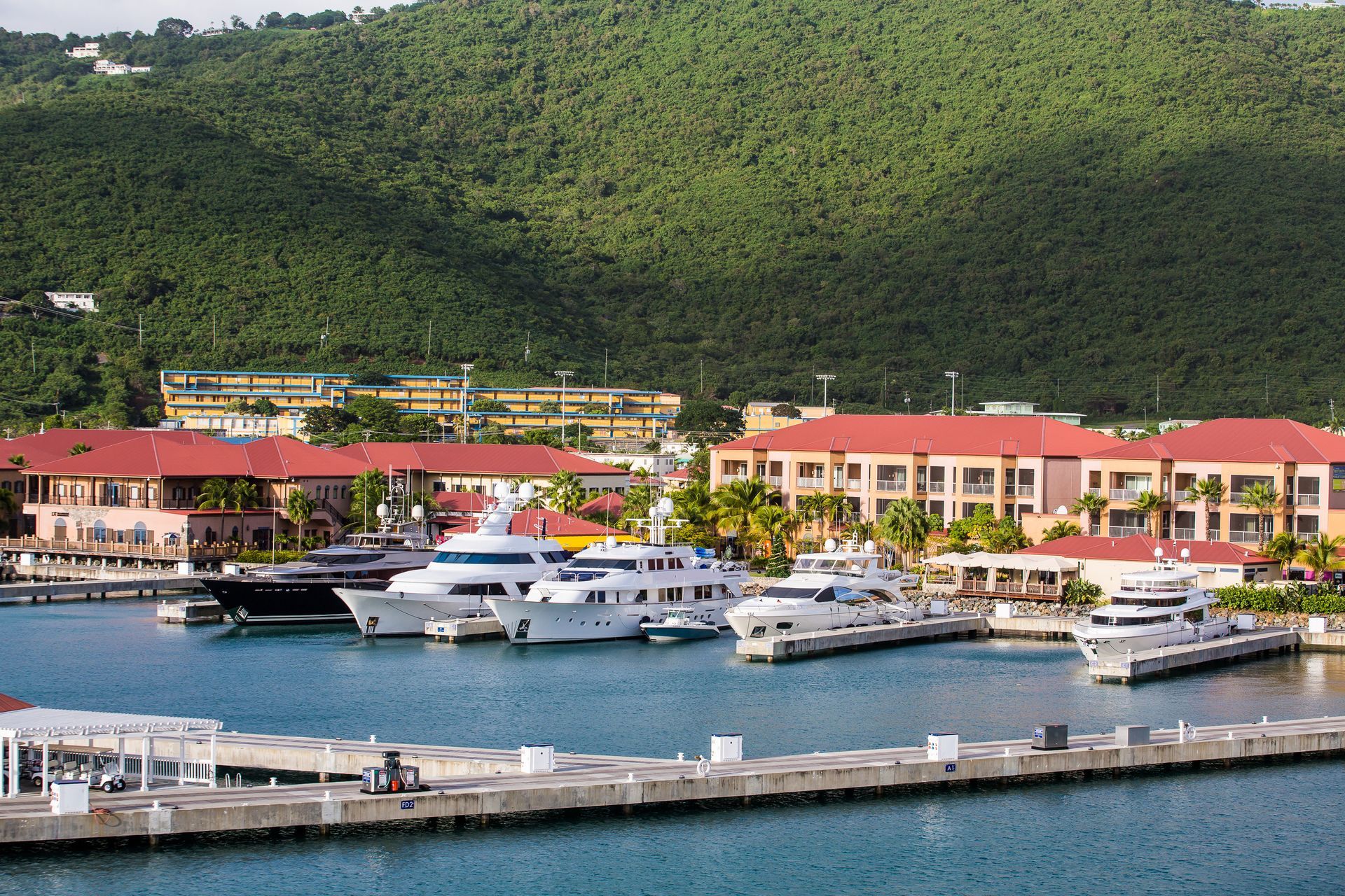 Yachts docked in a harbor with buildings and a green hillside in the background.