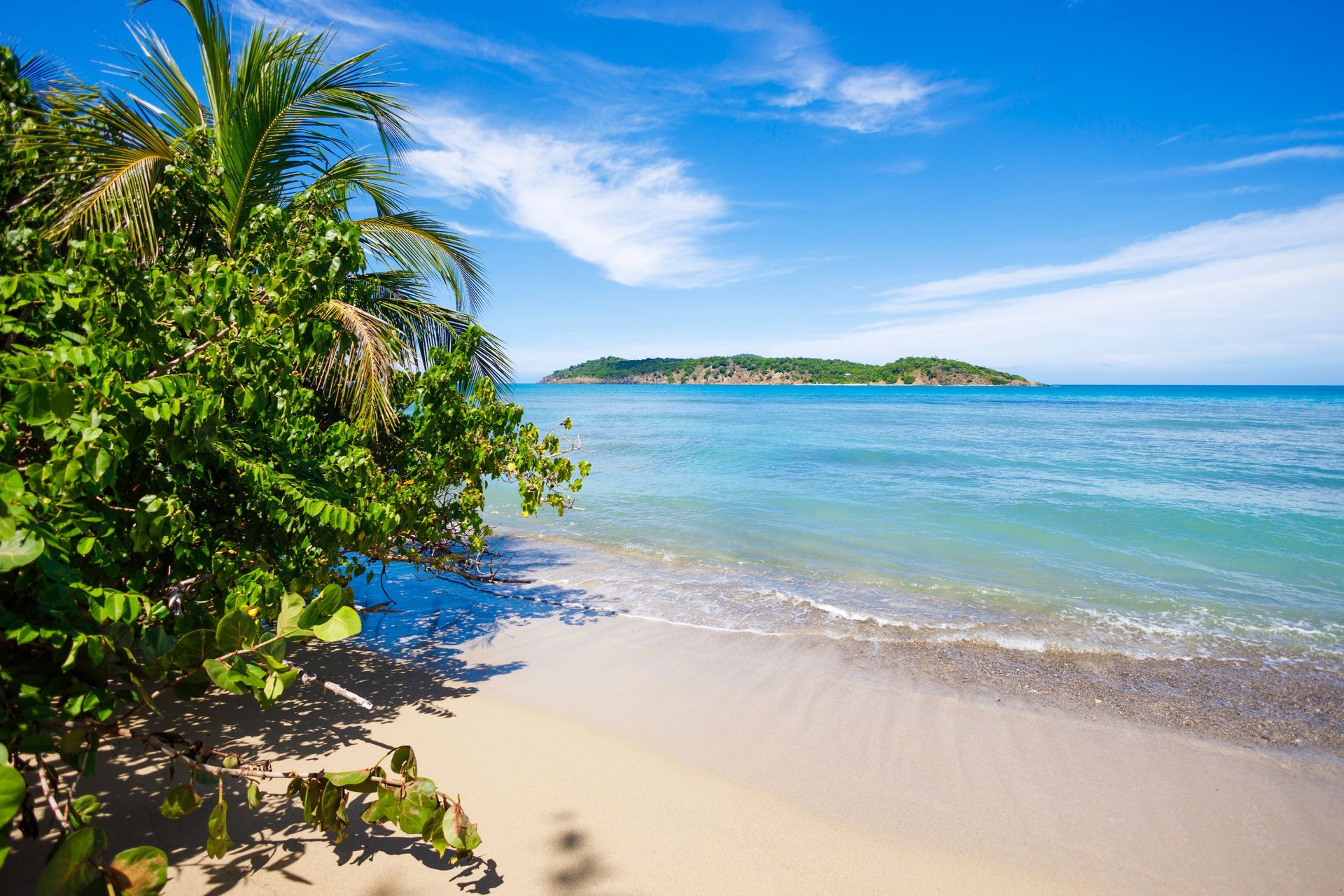 Sandy beach with turquoise water, blue sky, and green tropical plants. Island in the distance.