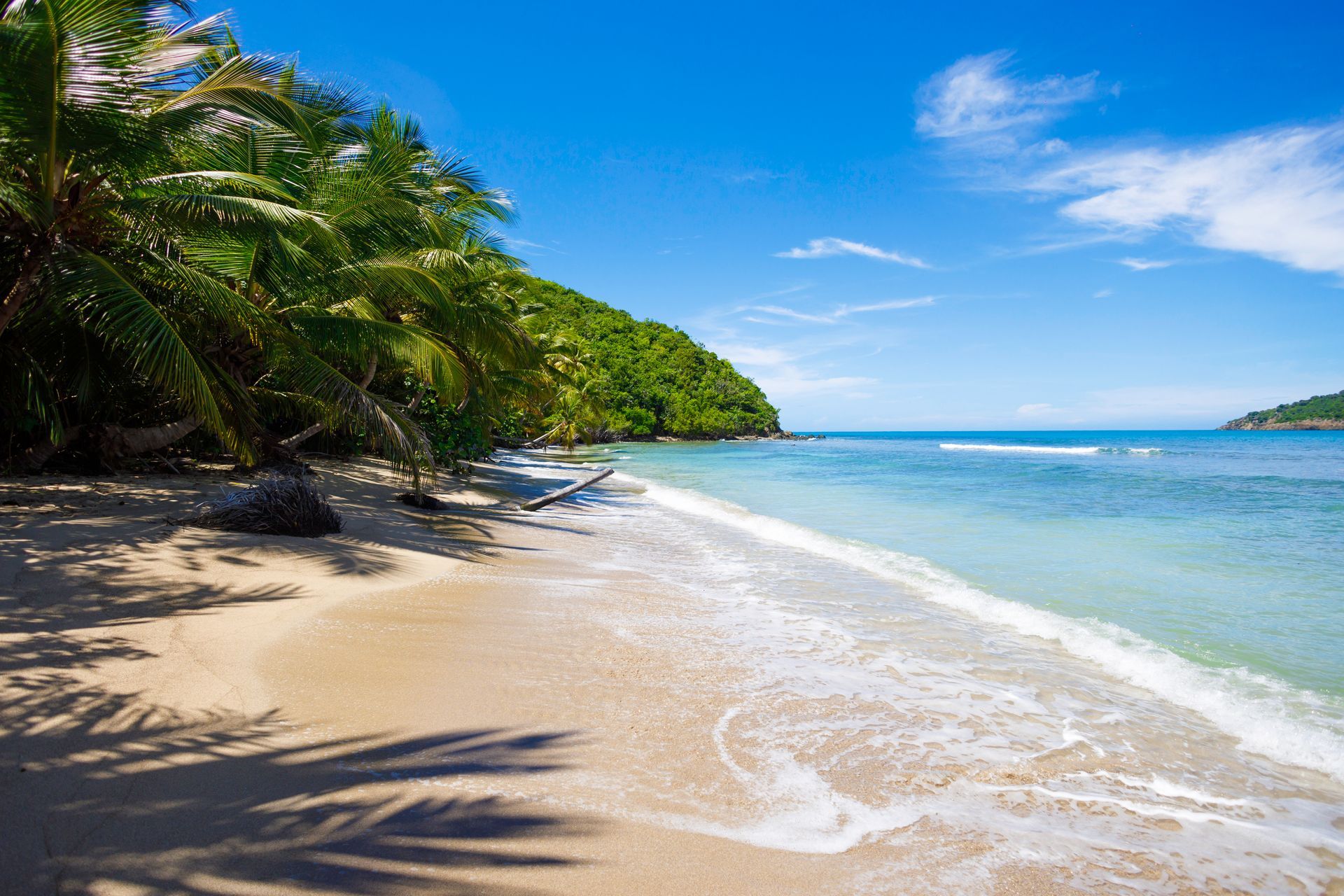 Beach with white sand, blue water, and green palm trees under a bright sky.