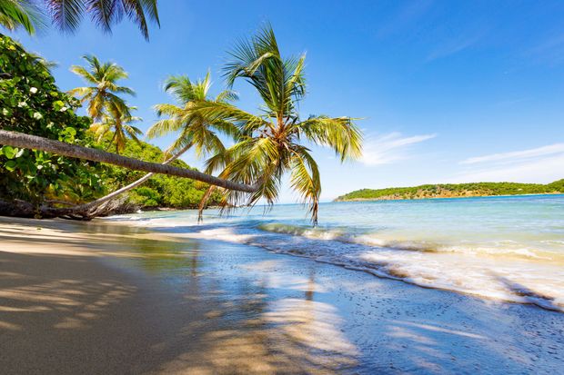 Beach scene with palm trees, blue sky, and turquoise water.