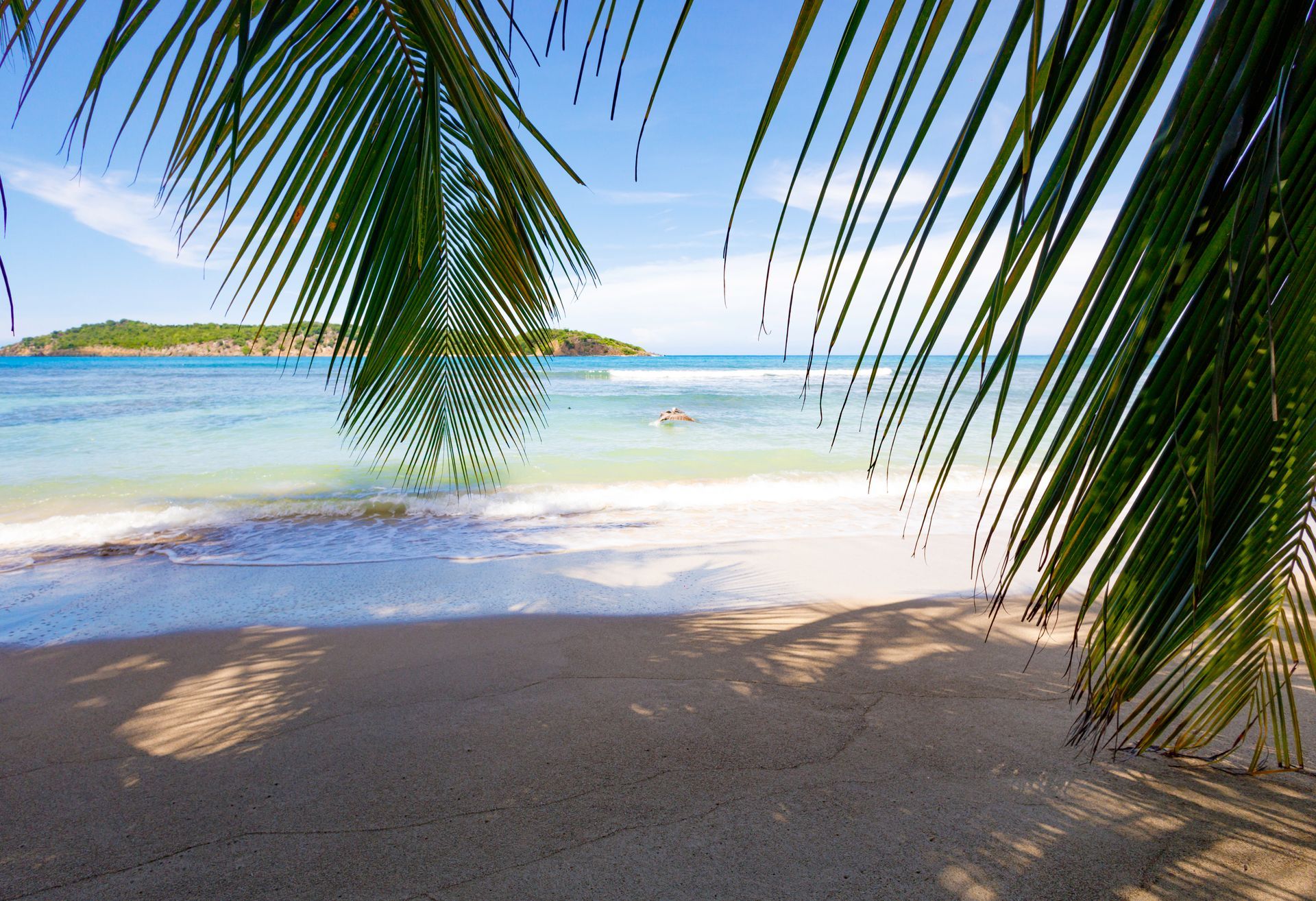 Sandy beach framed by palm leaves, ocean view with island and blue sky.