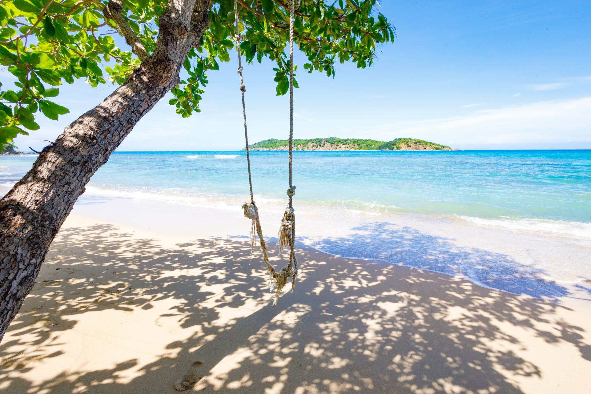 Swing hanging from a tree on a sunny beach, with turquoise water and an island in the distance.