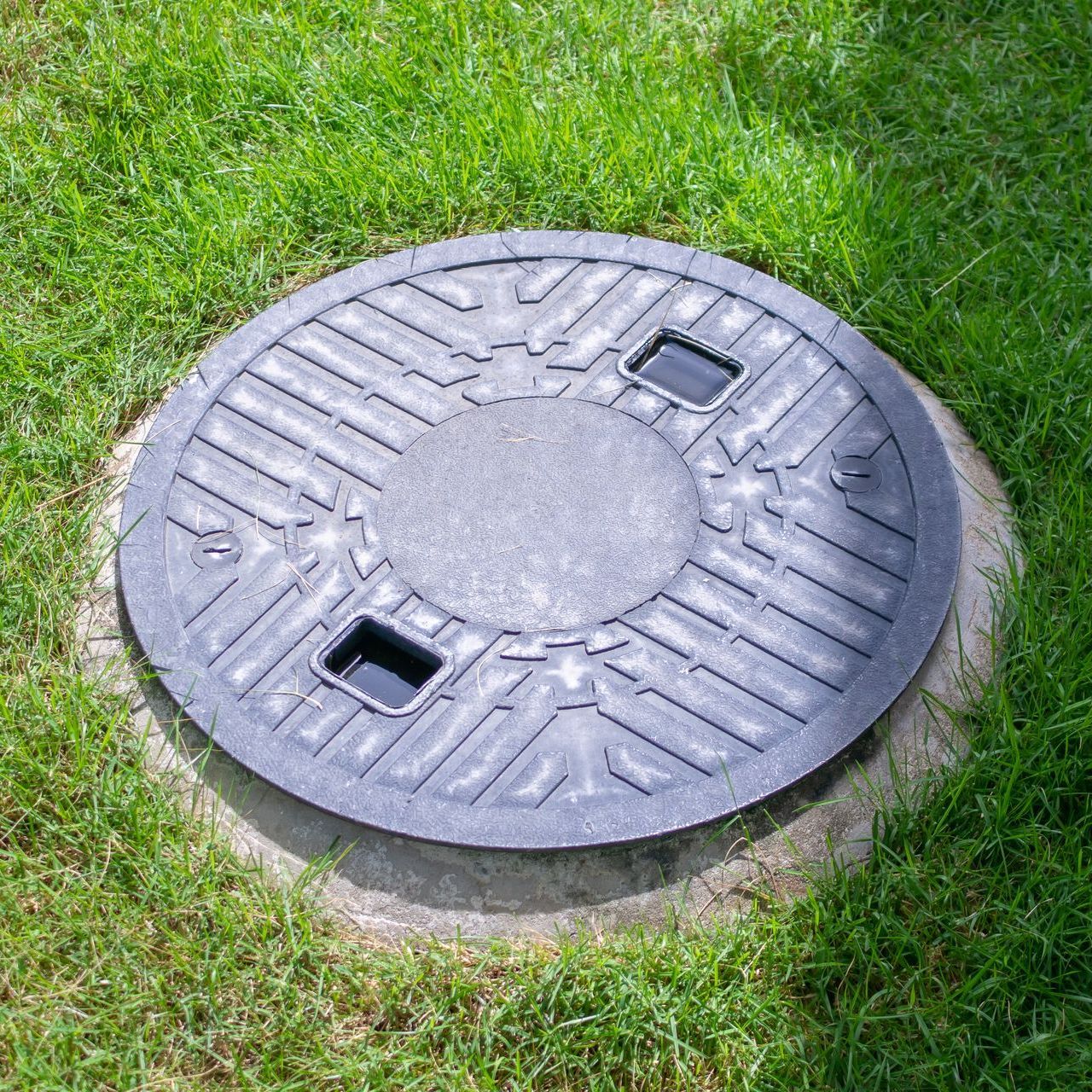 A manhole cover is sitting in the middle of a lush green field.