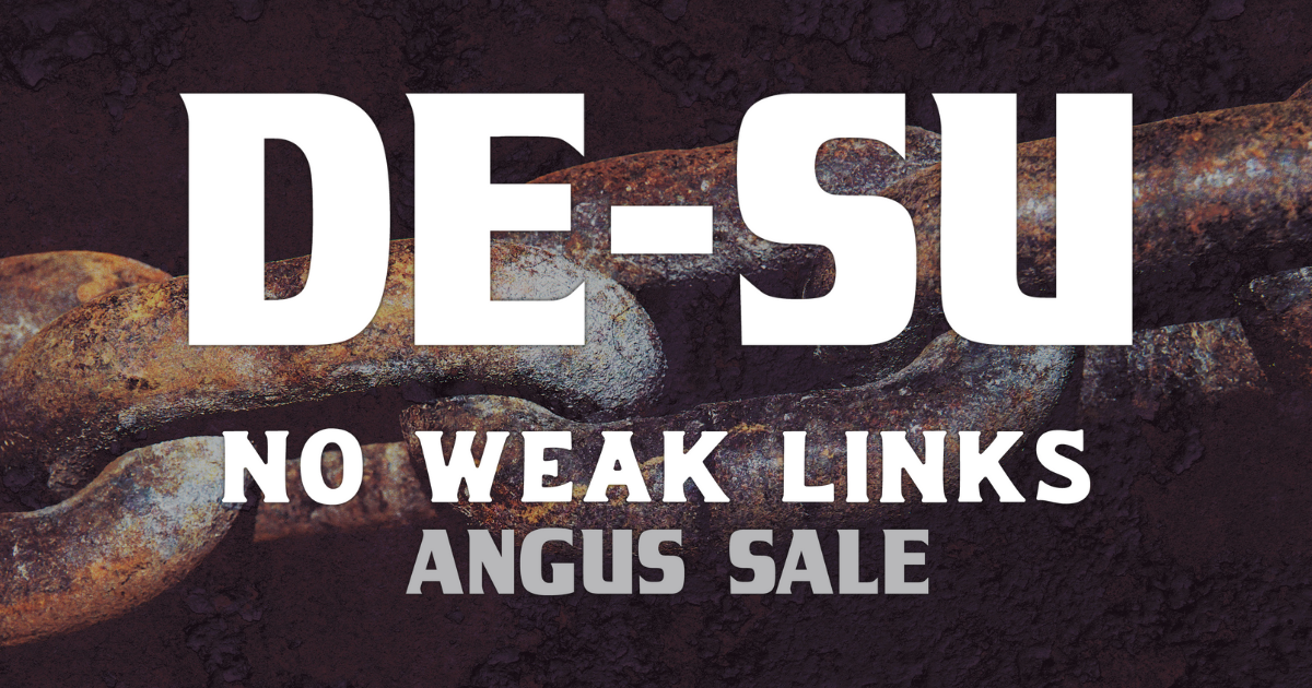 DE-SU Angus | No Weak Links 2025 Annual Sale