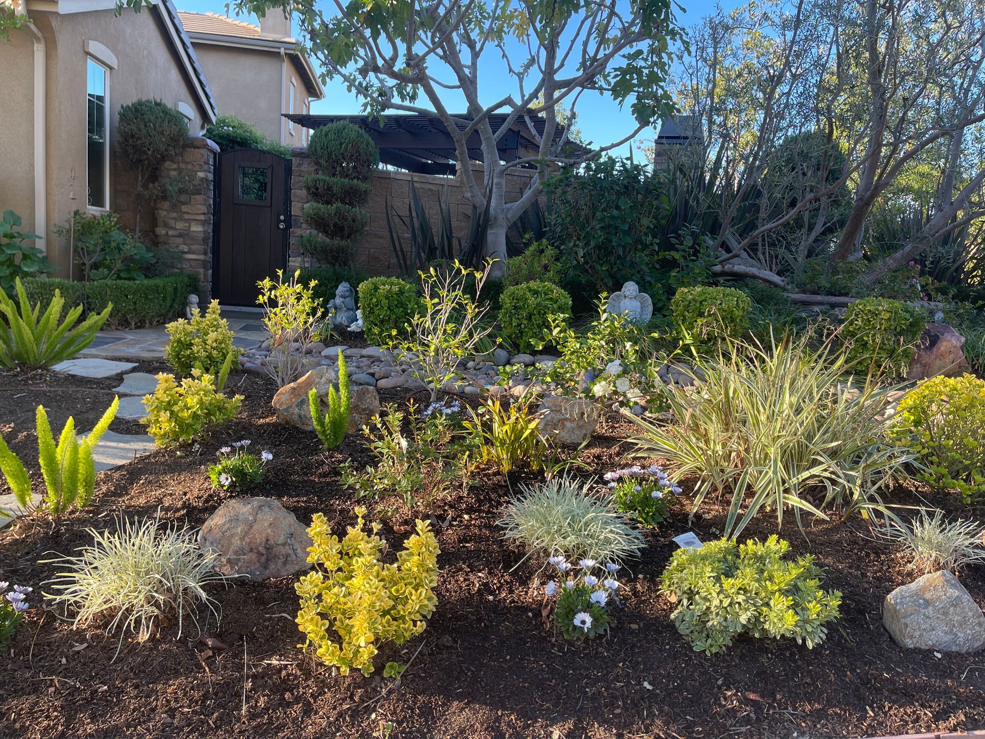 A garden with lots of plants and rocks in front of a house.