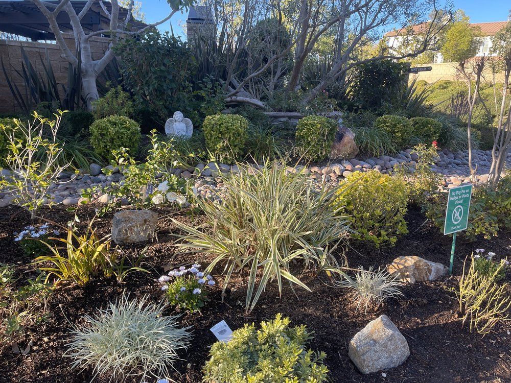 A garden filled with lots of plants and rocks.