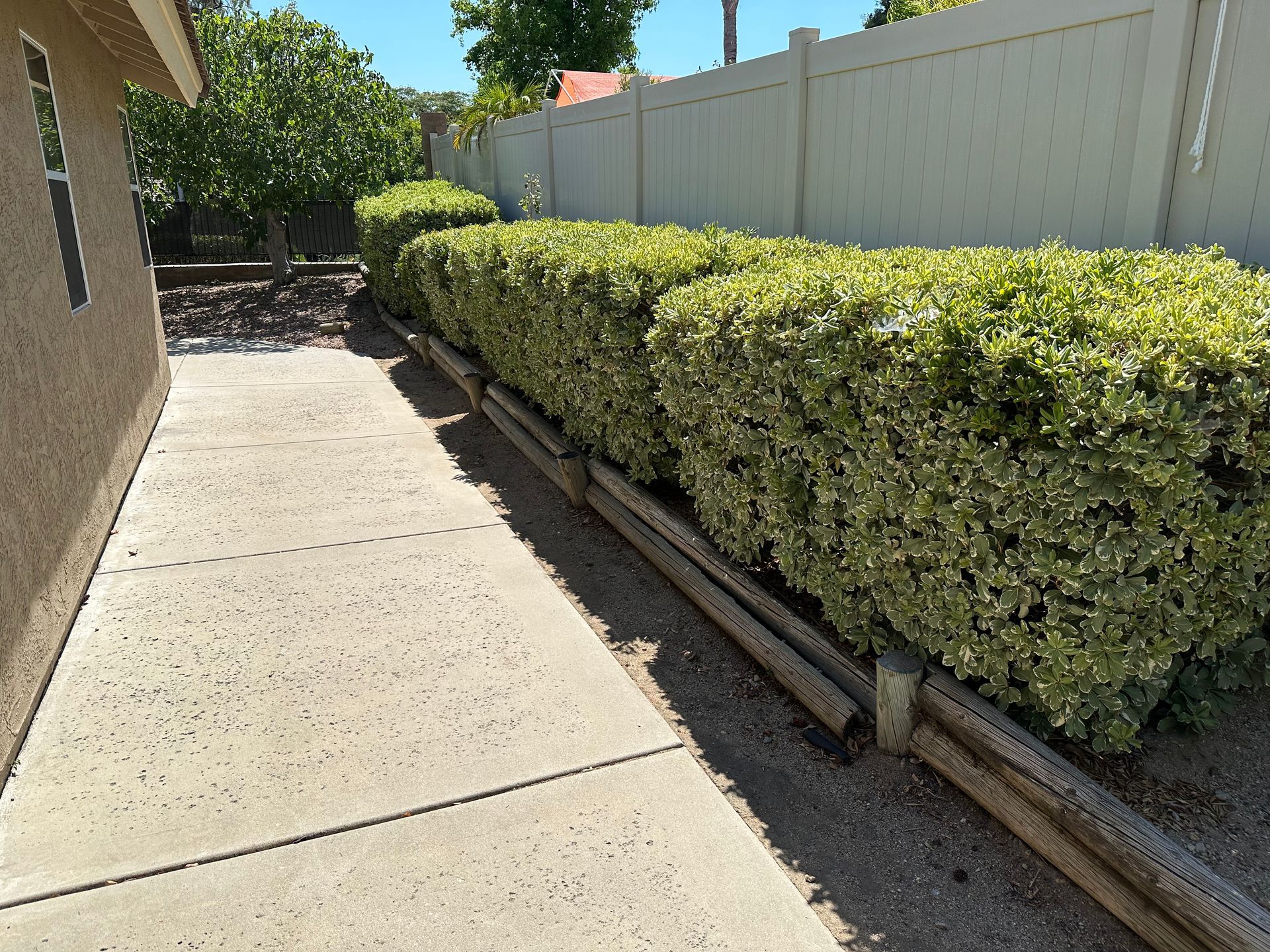 A white fence is surrounded by a row of bushes