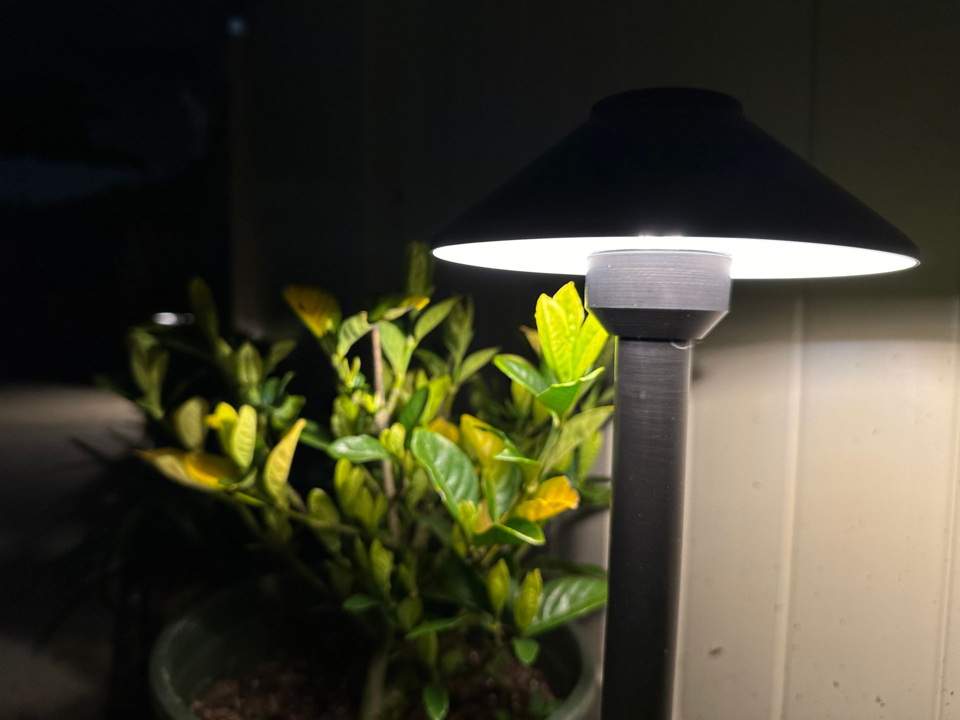 A lamp is lit up next to a plant in a pot.