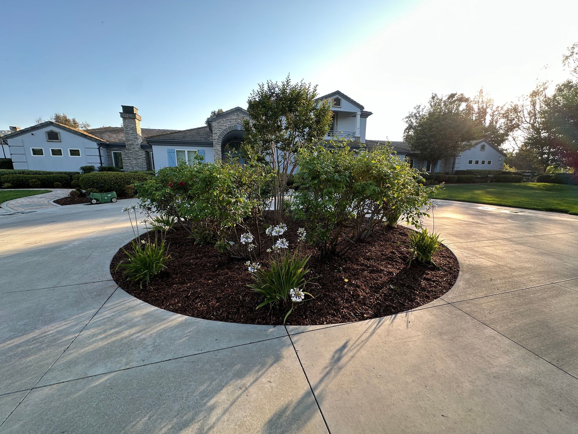 A tree is in the middle of a driveway in front of a house.