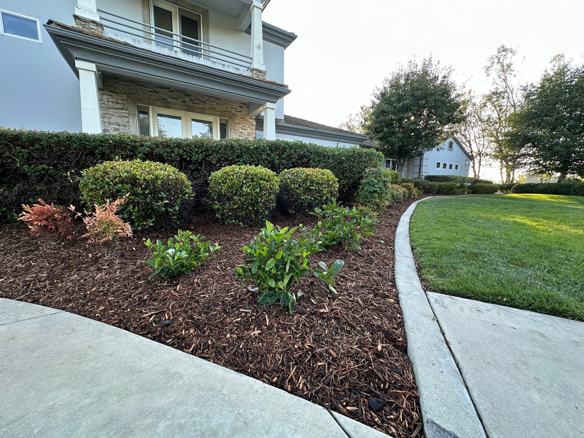 A house with a lush green lawn and a sidewalk in front of it.