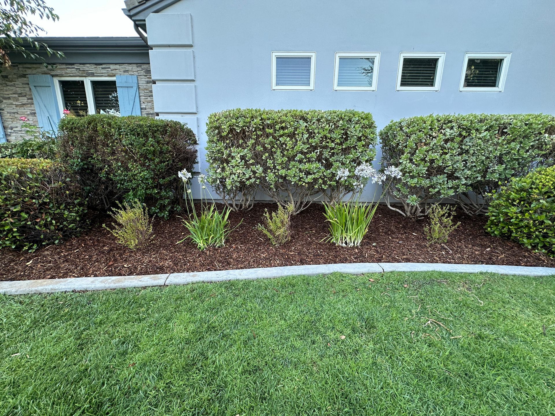 A house with a lush green lawn and bushes in front of it.