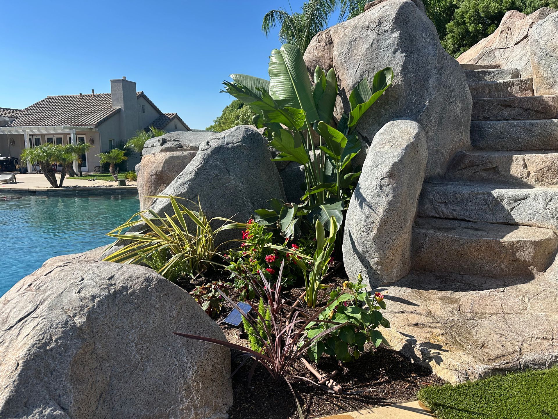 A swimming pool is surrounded by rocks and plants with a house in the background.