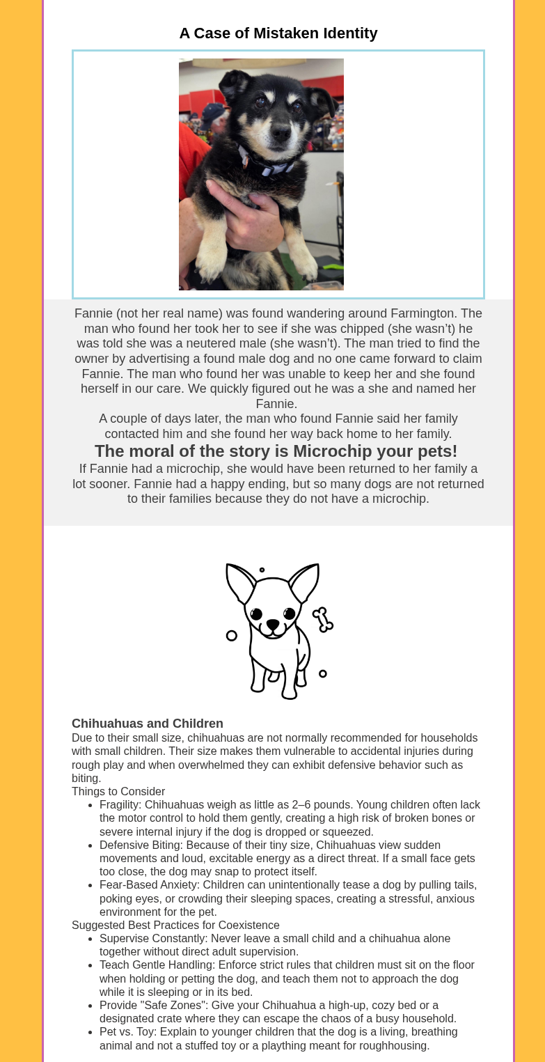 Small black-and-tan dog photo above a black-and-white line drawing on a document page with text.