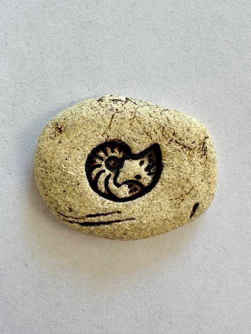 Down To Earth Pottery Nautilus Shell