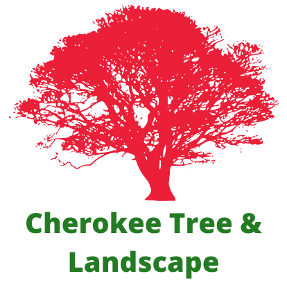 Cherokee County Tree Service Landscaping Experts