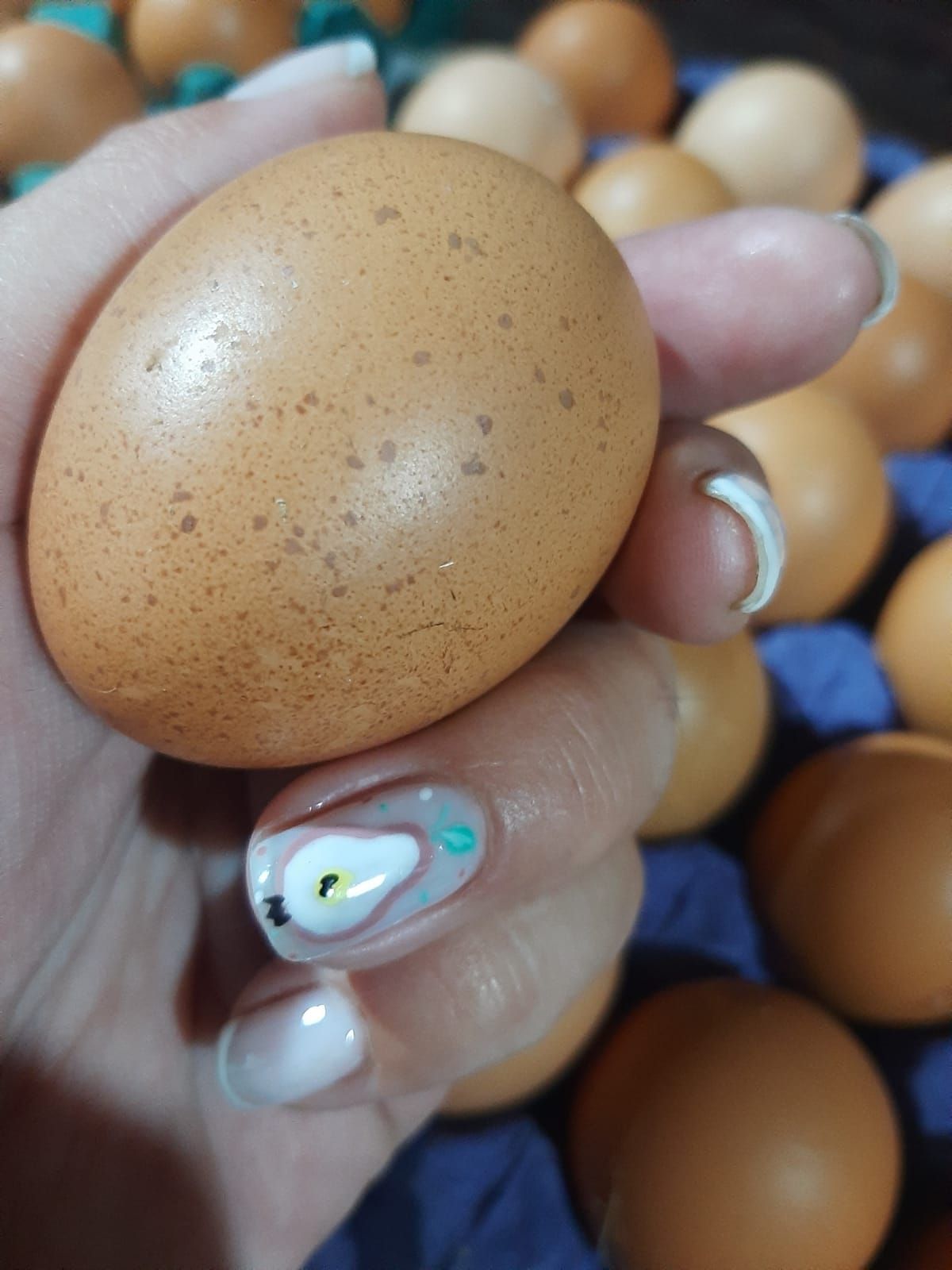 Mano sosteniendo un huevo marrón moteado, otros huevos en un cartón azul visibles en el fondo.