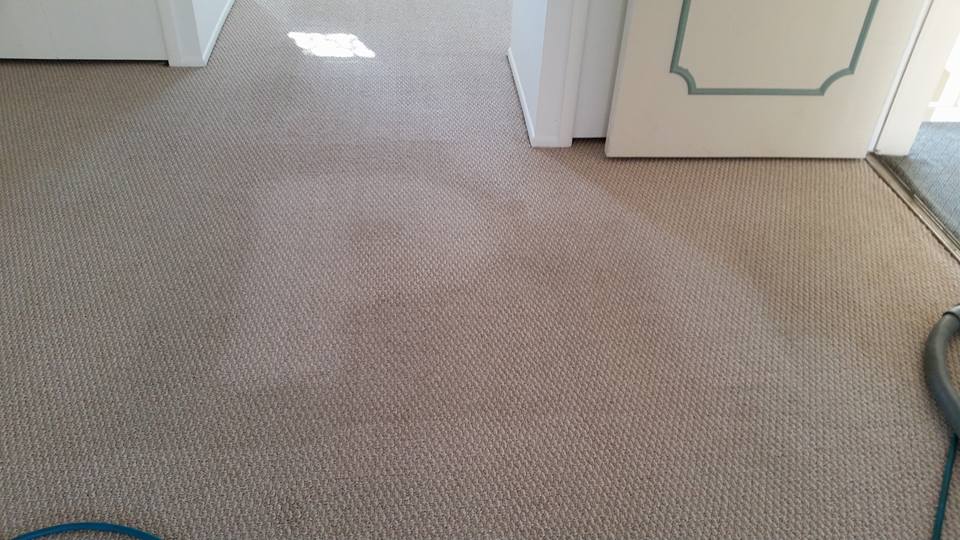 Rug Cleaning — Flourished Floor in Ira Township, MI