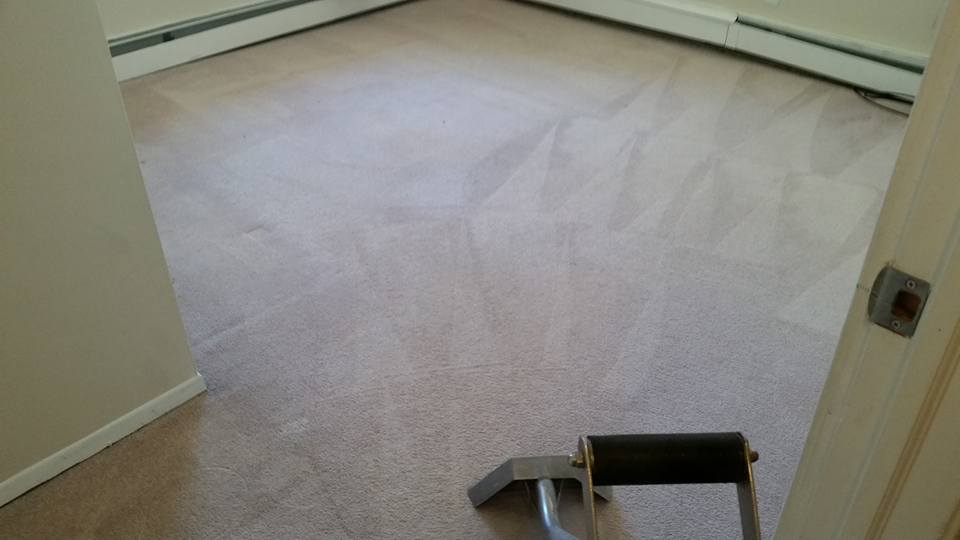 Rug Cleaning Service — Office Flooring in Ira Township, MI