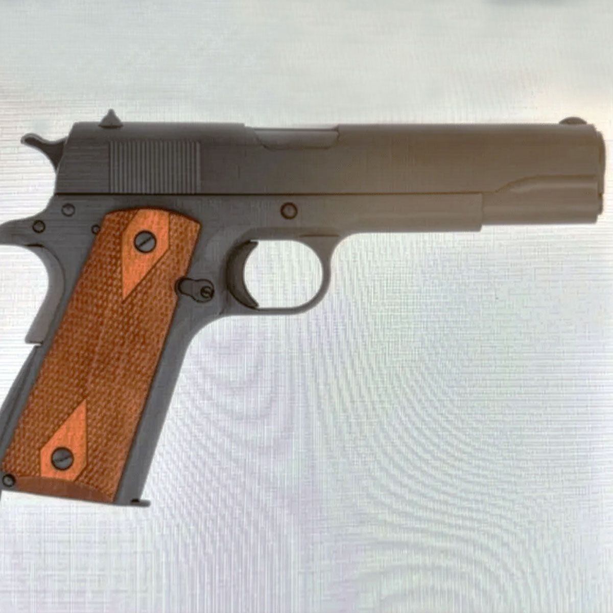 Roast beef and chicken dinner