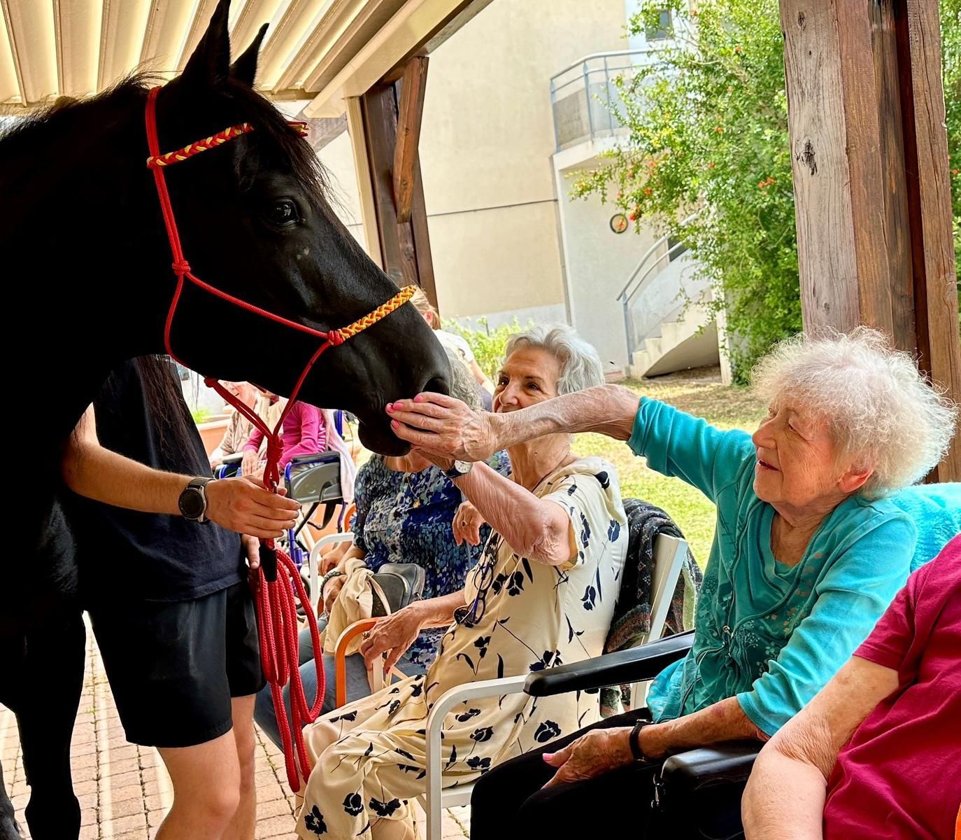 Un cheval noir caressé par deux femmes âgées dans une maison de retraite.