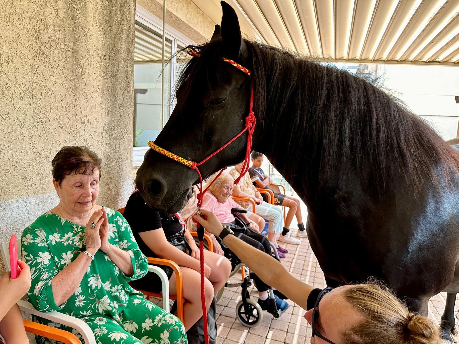 Un cheval noir interagit avec les visiteurs dans un espace extérieur couvert. Des gens le caressent ; une femme sourit.
