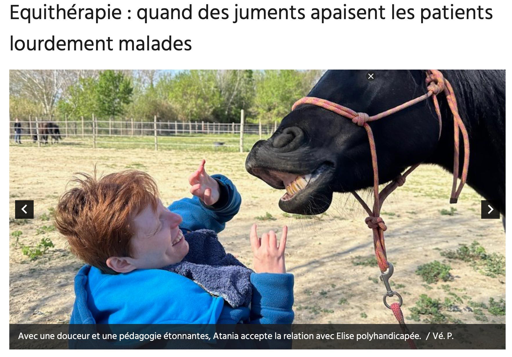 Une femme en bleu interagit avec un cheval en extérieur ; équithérapie.