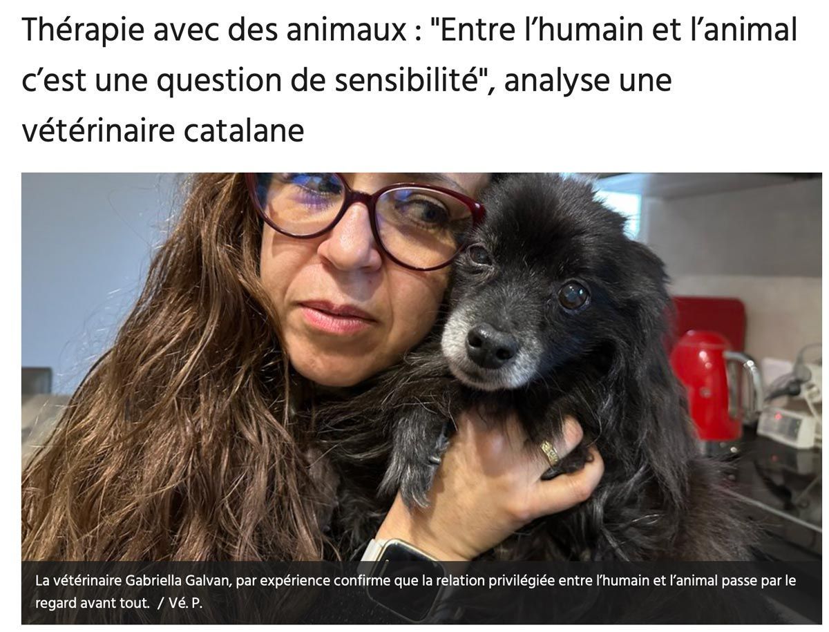 Un vétérinaire à lunettes tient un chien noir. Le texte au-dessus indique : « La zoothérapie : une question de sensibilité ».