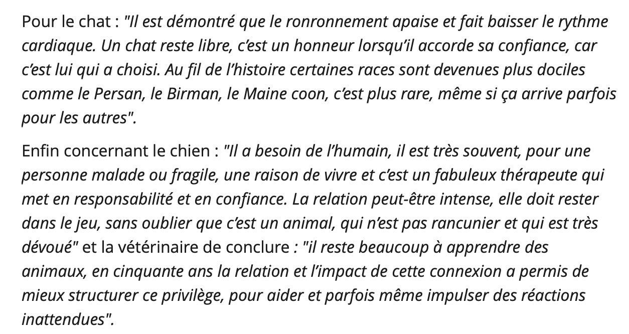 Extrait de texte concernant les chats et les chiens, provenant probablement d'un article sur la santé ou les soins aux animaux.