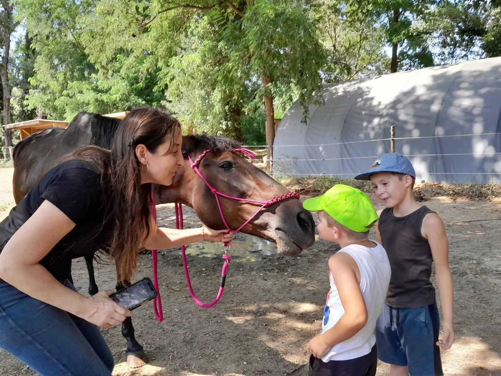 Une femme et deux enfants interagissent avec un cheval à l'extérieur. Le cheval porte un licol rose.