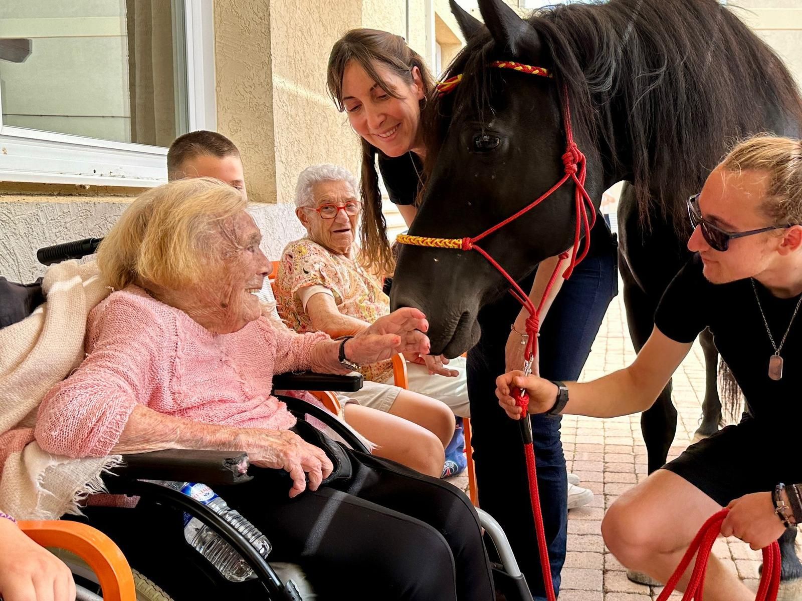 Une femme âgée en fauteuil roulant caresse un cheval noir ; deux autres personnes et une autre personne âgée observent.