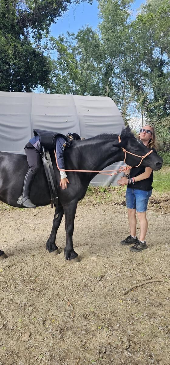 Une personne à cheval (un cheval noir) est menée par une autre. Le cheval porte un bridon. Ils sont à l'extérieur.