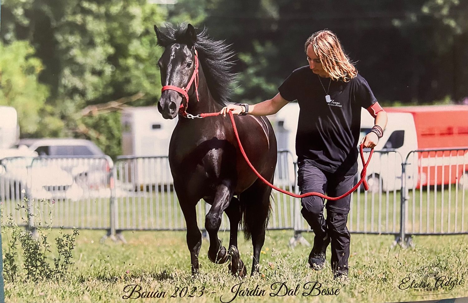 Un cheval noir, mouillé, est mené par une personne aux cheveux longs dans un champ herbeux, avec des voitures et des clôtures en arrière-plan.